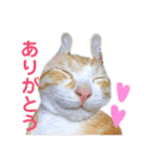 おいらくんのお友達3（個別スタンプ：1）