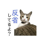おいらくんのお友達3（個別スタンプ：3）