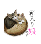 おいらくんのお友達3（個別スタンプ：10）