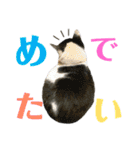 おいらくんのお友達3（個別スタンプ：14）