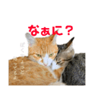 おいらくんのお友達3（個別スタンプ：19）