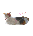 おいらくんのお友達3（個別スタンプ：21）