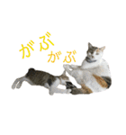 おいらくんのお友達3（個別スタンプ：23）