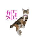 おいらくんのお友達3（個別スタンプ：26）