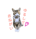 おいらくんのお友達3（個別スタンプ：30）