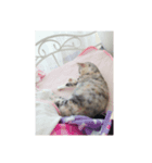 ラム子の1日（個別スタンプ：8）