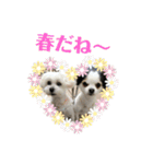 ミックス犬キナゴーと仲間たち第2弾（個別スタンプ：23）