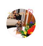 海璃くんとろなたん（個別スタンプ：16）