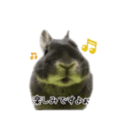 モグやんのどすこい系スタンプ（個別スタンプ：11）