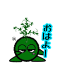 苔丸クン  Ver.Ⅰ（個別スタンプ：1）
