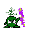 苔丸クン  Ver.Ⅰ（個別スタンプ：2）