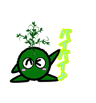 苔丸クン  Ver.Ⅰ（個別スタンプ：5）