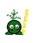 苔丸クン  Ver.Ⅰ（個別スタンプ：10）