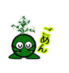 苔丸クン  Ver.Ⅰ（個別スタンプ：11）