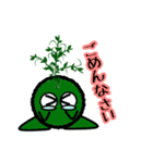 苔丸クン  Ver.Ⅰ（個別スタンプ：12）
