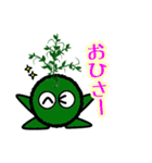 苔丸クン  Ver.Ⅰ（個別スタンプ：13）