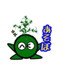 苔丸クン  Ver.Ⅰ（個別スタンプ：16）