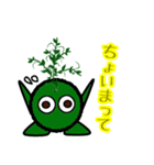 苔丸クン  Ver.Ⅰ（個別スタンプ：24）