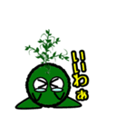 苔丸クン  Ver.Ⅰ（個別スタンプ：25）
