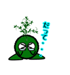 苔丸クン  Ver.Ⅰ（個別スタンプ：30）