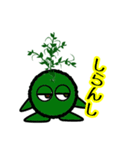 苔丸クン  Ver.Ⅰ（個別スタンプ：35）
