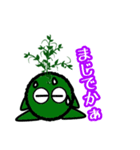 苔丸クン  Ver.Ⅰ（個別スタンプ：36）