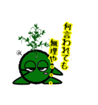 苔丸クン  Ver.Ⅰ（個別スタンプ：38）