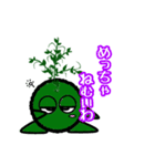 苔丸クン  Ver.Ⅰ（個別スタンプ：40）