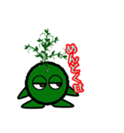 苔丸クン  Ver.Ⅱ（個別スタンプ：6）
