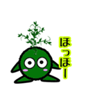 苔丸クン  Ver.Ⅱ（個別スタンプ：13）