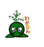苔丸クン  Ver.Ⅱ（個別スタンプ：14）