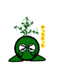 苔丸クン  Ver.Ⅱ（個別スタンプ：20）