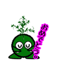 苔丸クン  Ver.Ⅱ（個別スタンプ：24）
