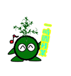 苔丸クン  Ver.Ⅱ（個別スタンプ：29）