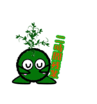 苔丸クン  Ver.Ⅱ（個別スタンプ：30）