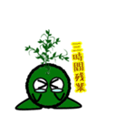 苔丸クン  Ver.Ⅱ（個別スタンプ：31）