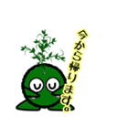 苔丸クン  Ver.Ⅱ（個別スタンプ：34）