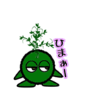 苔丸クン  Ver.Ⅱ（個別スタンプ：40）