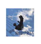 和田と愉快な仲間たち（個別スタンプ：31）
