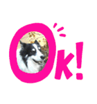愛犬猫たちのつぶやき（個別スタンプ：4）
