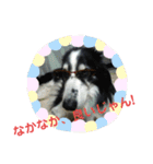 愛犬猫たちのつぶやき（個別スタンプ：14）