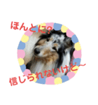 愛犬猫たちのつぶやき（個別スタンプ：25）