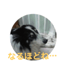 愛犬猫たちのつぶやき（個別スタンプ：26）
