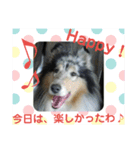 愛犬猫たちのつぶやき（個別スタンプ：28）