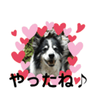 愛犬猫たちのつぶやき（個別スタンプ：31）