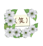 春の花とメッセージ (日本語)（個別スタンプ：34）