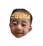 れいとだよ（個別スタンプ：1）