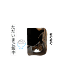 黒豆柴(琥太郎)スタンプ（個別スタンプ：9）