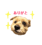 三浦サンタのスタンプ（個別スタンプ：13）