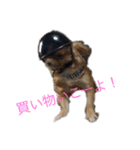クゥとラピ君（個別スタンプ：3）
